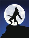 Veranstaltungsbild Nacht der Wölfe